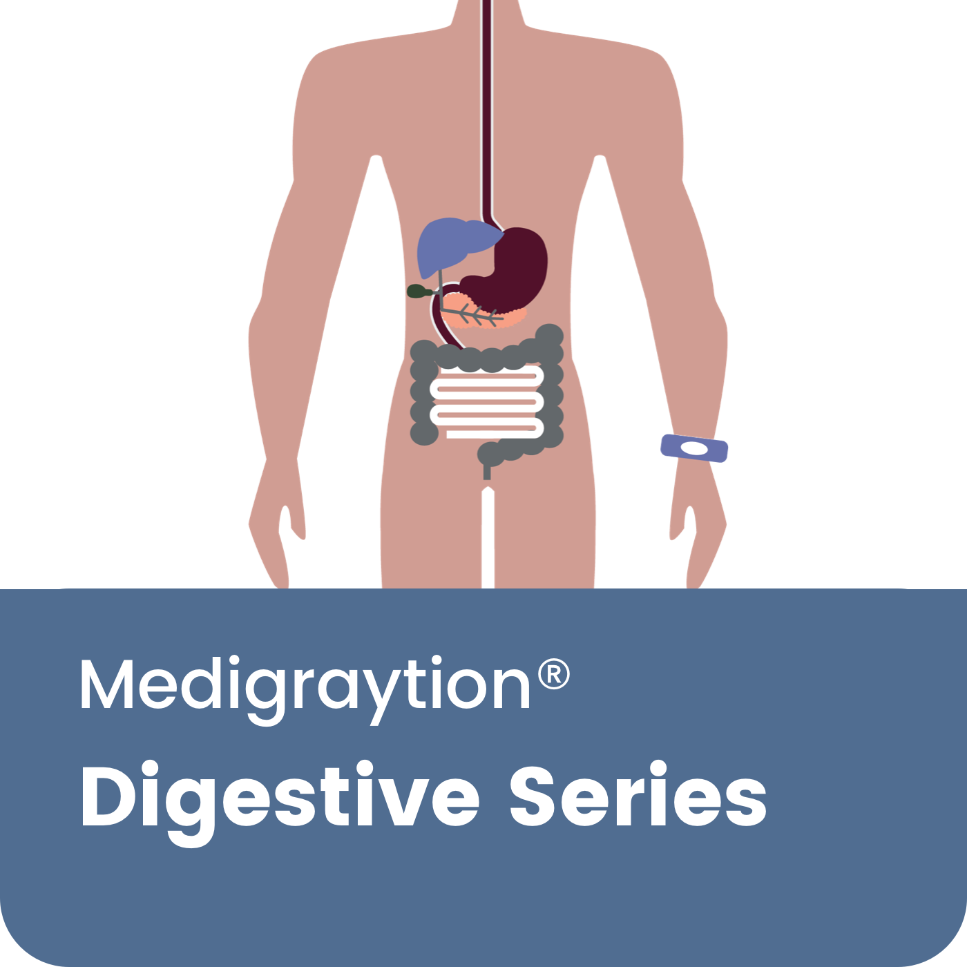 Digestive Series