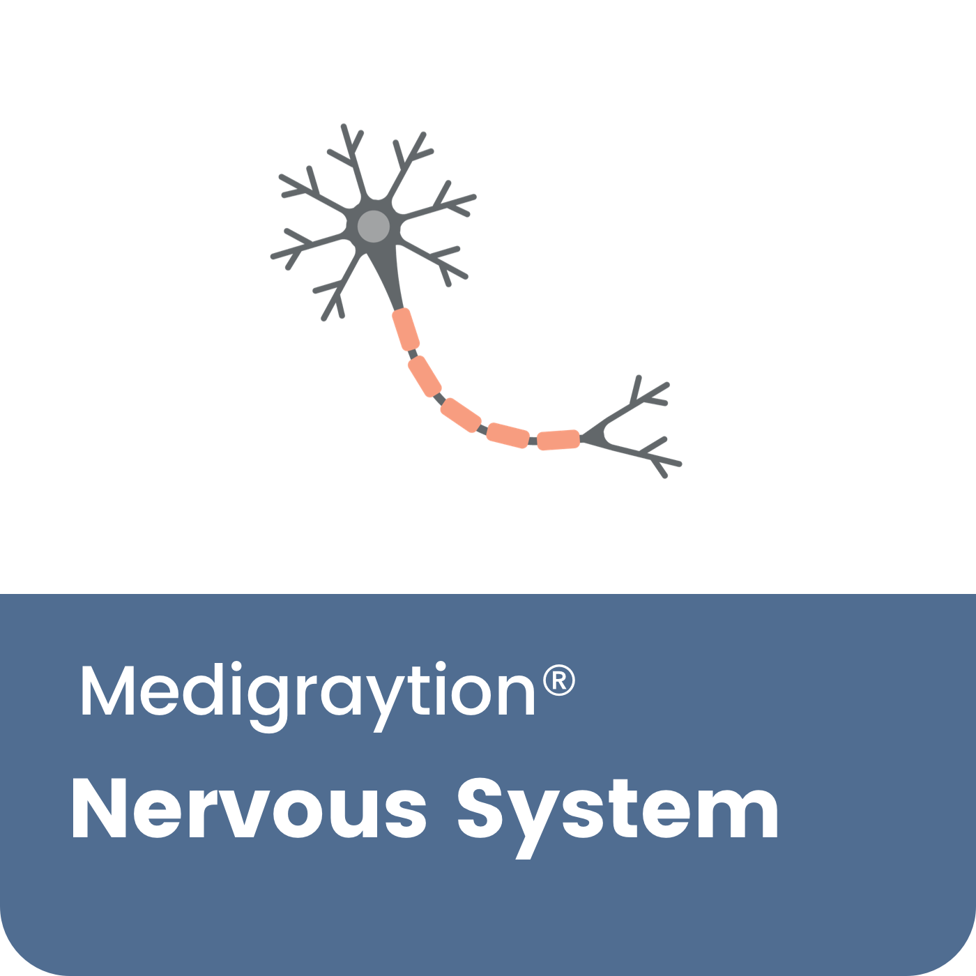 Nervous System