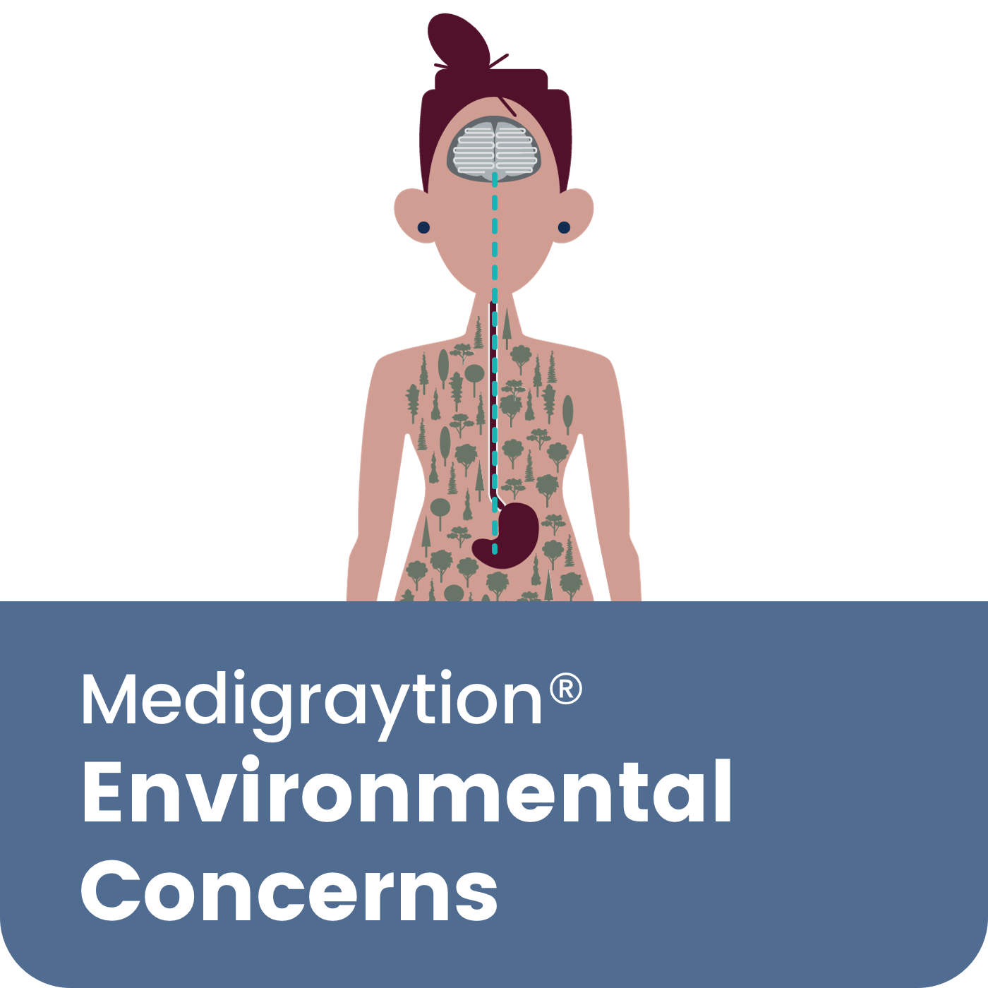 Environmental Concerns